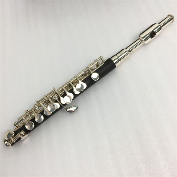 Kaerntner ケルントナー 《 入門者用ピッコロ 》KPC-320 KPC-320｜中古 