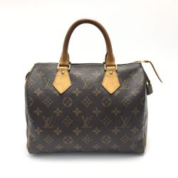 ☆☆ LOUIS VUITTON ルイヴィトン スピーディ25 ハンドバッグ M41528 エベヌ Cランク