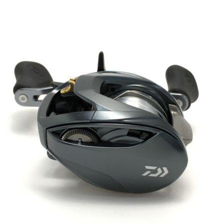  DAIWA ダイワ スティーズ A TW 1016SH ベイトリール 箱付き 00613374