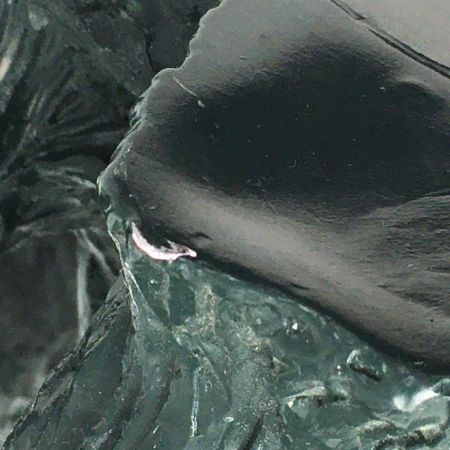   BANDAI バンダイ《 バイオビオランテ  ソフビ 》1992年 / ゴジラ vs ビオランテ