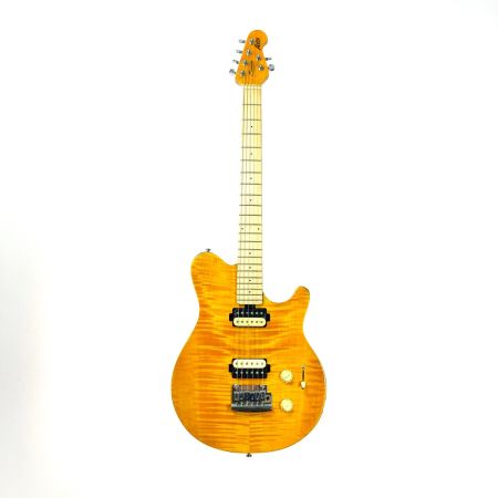  Musicman ミュージックマン SUB AXIS-FM TGS ソフトケース