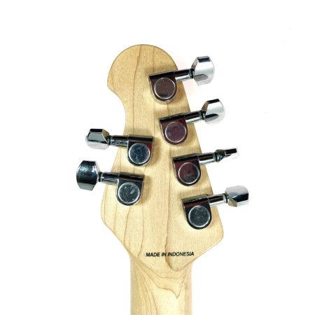  Musicman ミュージックマン SUB AXIS-FM TGS ソフトケース