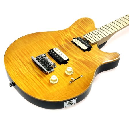  Musicman ミュージックマン SUB AXIS-FM TGS ソフトケース