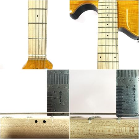  Musicman ミュージックマン SUB AXIS-FM TGS ソフトケース