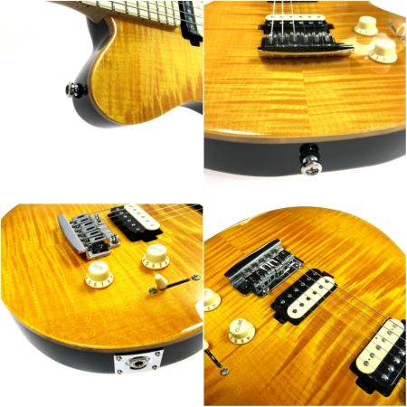  Musicman ミュージックマン SUB AXIS-FM TGS ソフトケース