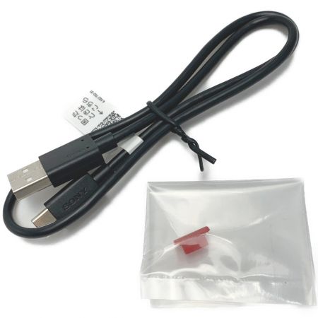  SONY ソニー 《 WALKMAN ウオークマン 》ハイレゾ レッド / 16GB / NW-A105