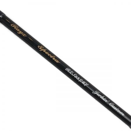  TENRYU テンリュウ レイズ スペクトラ RZS53LML ルアーロッド 竿袋付き