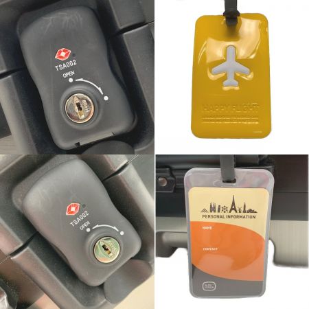   PROTEX プロテックス《 機内持ち込み対応スーツケース 》29L / FP-34 シルバー