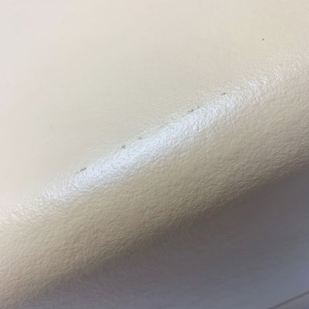  HOKUTAN ホクタン《 機内持ち込み対応スーツケース 》ベージュロゼ / 28L キャメル