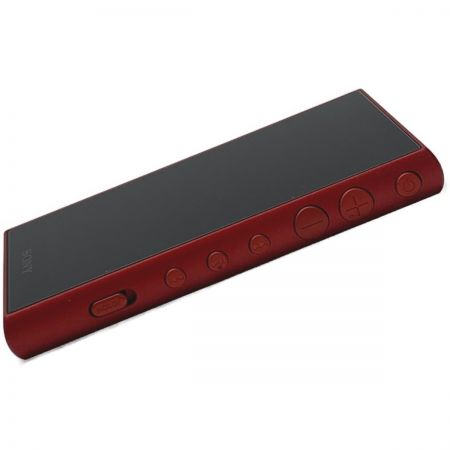  SONY ソニー 《 WALKMAN ウオークマン 》本体 ケースのみ / 16GB / NW-A105