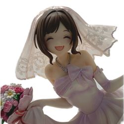 ☆☆  アイドルマスター シャイニーカラーズ《 前川みく ドリーミンブライドver. 》限定版 / knead Bランク