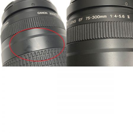  CANON キャノン EF 75-300mm F4-5.6 II ズームレンズ EF 75-300mm