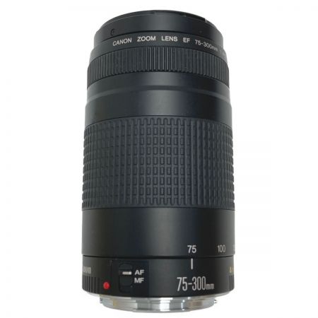  CANON キャノン EF 75-300mm F4-5.6 II ズームレンズ EF 75-300mm