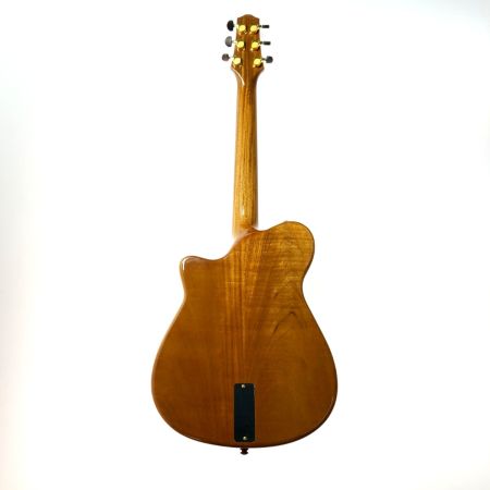  Yokoyama Guitars ヨコヤマギターズ アコースティックギター Leaf-Quiet ハードケース付き