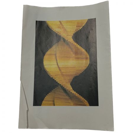   木のおもちゃ《 KAPLA カプラ200 》知育玩具 / 木製玩具 / 積み木 