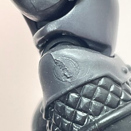  BANDAI バンダイ S.H.Figuarts 仮面ライダーゼロワン 仮面ライダー亡  フィギュア 開封品