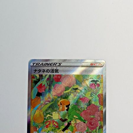   ポケモン トレカ ポケカ《 ナタネの活気 》243/172 SAR