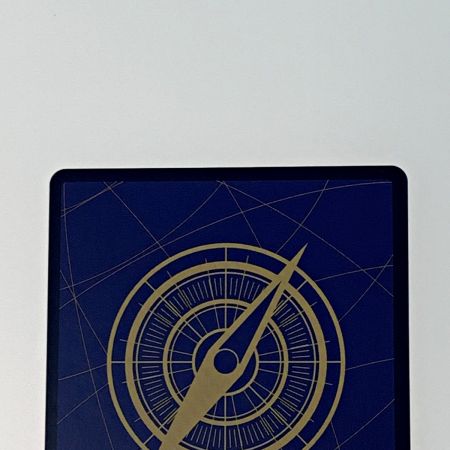   トレカ ワンピース《 ロロノア・ゾロ 》OP01/025 SR パラレル