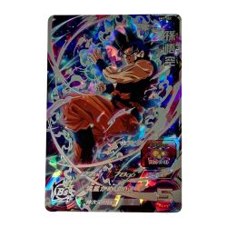 ☆☆  ドラゴンボールヒーローズ トレカ《 孫悟空 》BM7-SEC Bランク