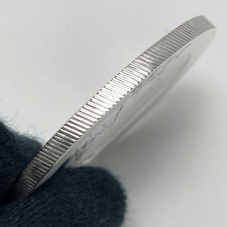   中華人民共和国 2019 銀貨 10元 純銀 Ag999 30g パンダ 中国