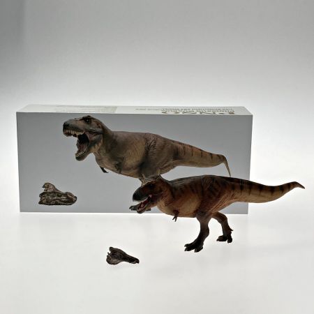  PNSO 恐竜博物館シリーズ 18 キャメロンティラノサウルス レックス 