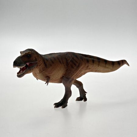  PNSO 恐竜博物館シリーズ 18 キャメロンティラノサウルス レックス 