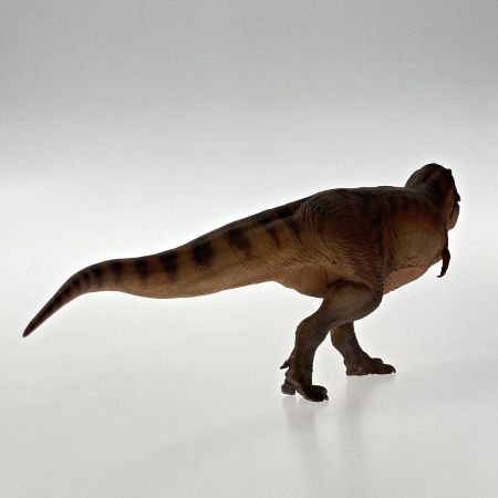  PNSO 恐竜博物館シリーズ 18 キャメロンティラノサウルス レックス 