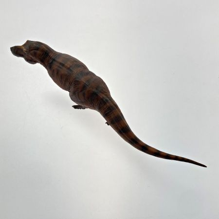  PNSO 恐竜博物館シリーズ 18 キャメロンティラノサウルス レックス 