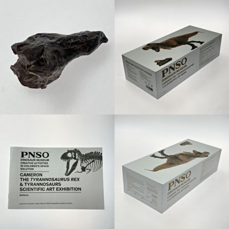  PNSO 恐竜博物館シリーズ 18 キャメロンティラノサウルス レックス 