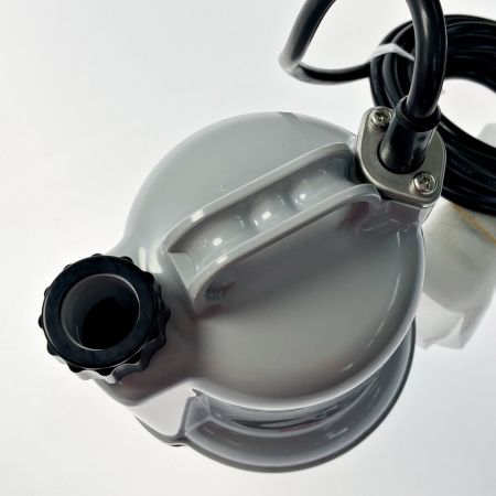  TERADA 寺田ポンプ 水中ポンプ 底水用 50Hz CSL-100L