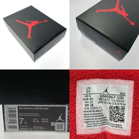  NIKE ナイキ AIR JORDAN 3 RETRO GS スニーカー SIZE 24.5cm DM0967 100 レディース 箱付き