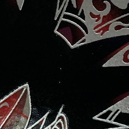   ドラゴンボールヒーローズ トレカ 紅き仮面のサイヤ人 BM7-SEC2 P