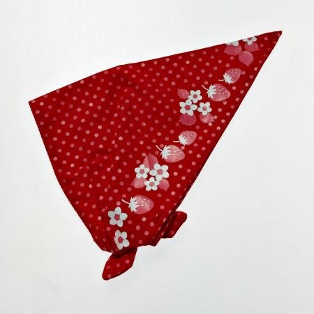   Blythe ブライス ネオブライス マトリョーシカメイデン トイザラス限定