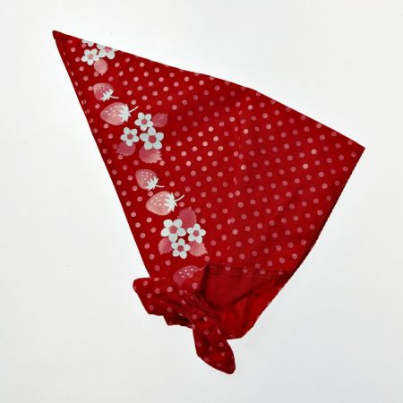   Blythe ブライス ネオブライス マトリョーシカメイデン トイザラス限定