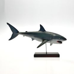 ☆☆ KAIYODO Co.,Ltd. 海洋堂 アクアランド AQUALAND ホホジロザメ Cランク