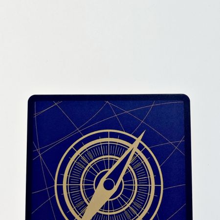   ワンピース トレカ ポートガス・Ｄ・エース OP07-119 SEC パラレル