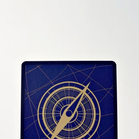   ワンピース トレカ ポートガス・D・エース OP07-119 SEC