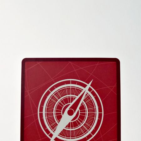   ワンピース トレカ ポートガス・D・エース ST13-002 L パラレル