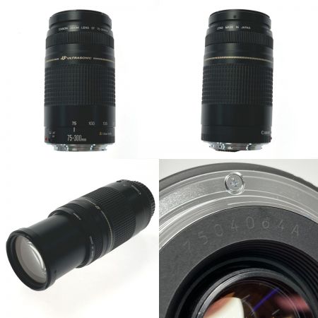  CANON キャノン ズームレンズ EF 75-300mm f4-5.6 II レンズ EF75-300mm f4-5.6