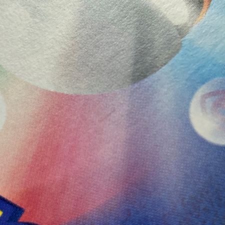   ポケモン トレカ ポケカ ガチグマアカツキ ex 091/066 SAR