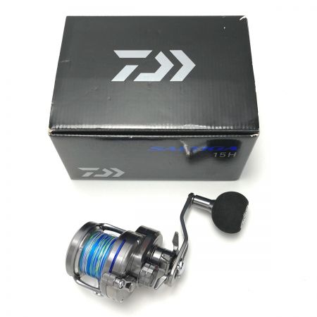  DAIWA ダイワ 15 ソルティガ 15H 607259 ベイトリール 箱付き