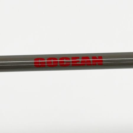 tailwalk テイルウォーク ルアーロッド GOCEAN 竿袋付 釣り フィッシング c64l
