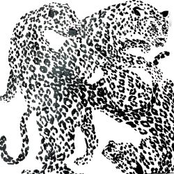 ☆☆ Yves Saint Laurent イブサンローラン ポリエステルxレーヨン アニマル柄 ブラック スカーフ レディース Cランク