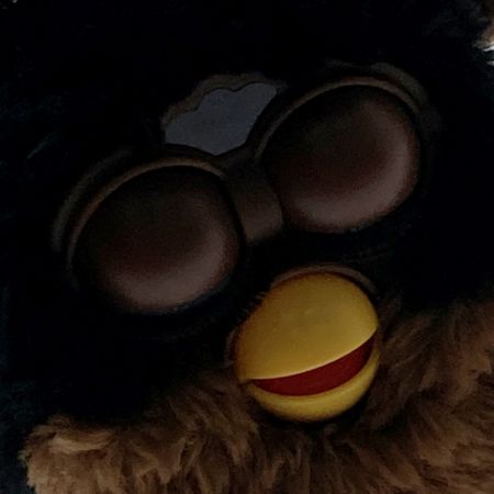  TOMY トミー おしゃべり天才ペット! ファービー 黒×茶 日本語版