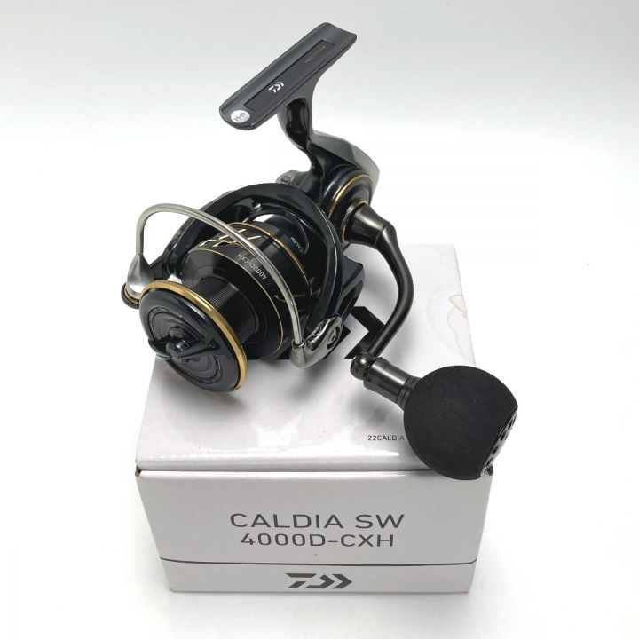 DAIWA（釣り） ダイワ(DAIWA) スピニングリール 22 カルディアSW 4000D-CXH(2022モデル)