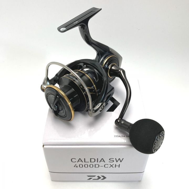 DAIWA ダイワ 22 カルディア SW 4000D-CXH 607221 スピニングリール 箱付き｜中古｜なんでもリサイクルビッグバン