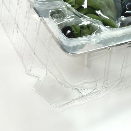   S.H.Figuarts ハルク アベンジャーズ インフィニティ・ウォー フィギュア