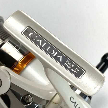  DAIWA ダイワ CALDIA 2506 スピニングリール 2506