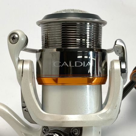  DAIWA ダイワ CALDIA 2506 スピニングリール 2506