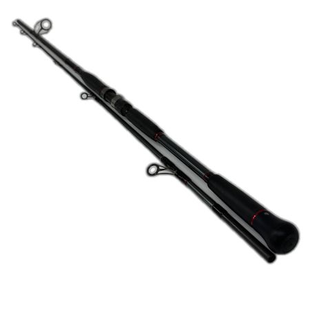 DAIWA ダイワ シーホーク SJ97H ルアーロッド 本体のみ 釣り フィッシング 01471624